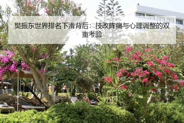 fan-zhen-dong-shi-jie-pai-ming-xia-hua-bei-hou-ji-gai-zhen-tong-yu-xin-li-tiao-zheng-de-shuang-chong-kao-yan-2-943.jpg