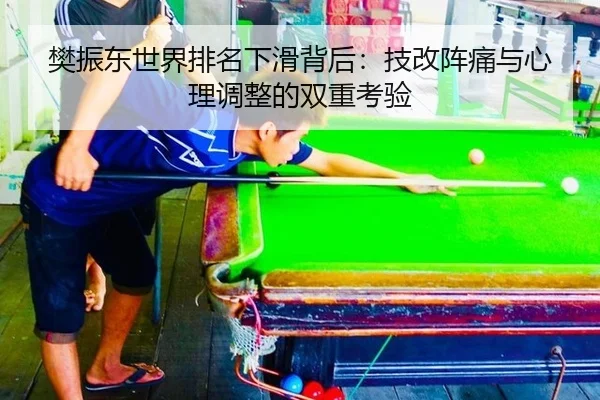 樊振东世界排名下滑背后：技改阵痛与心理调整的双重考验