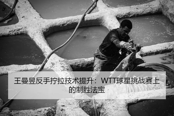 王曼昱反手拧拉技术提升：WTT球星挑战赛上的制胜法宝