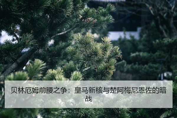 bei-lin-e-mu-qian-yao-zhi-zheng-huang-ma-xin-he-yu-chu-a-mei-ni-en-zuo-de-an-zhan-2-705.jpg