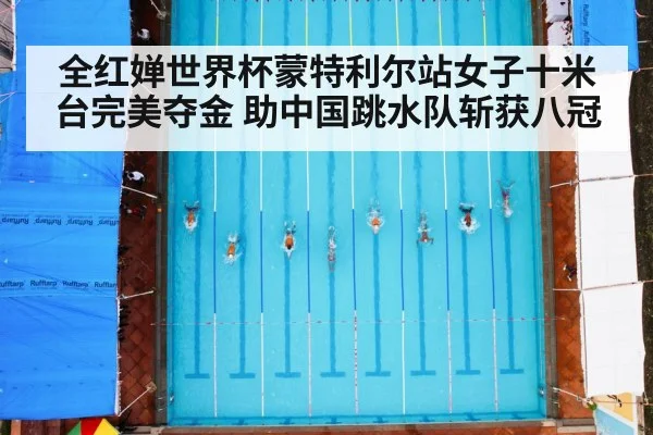 全红婵世界杯蒙特利尔站女子十米台完美夺金 助中国跳水队斩获八冠