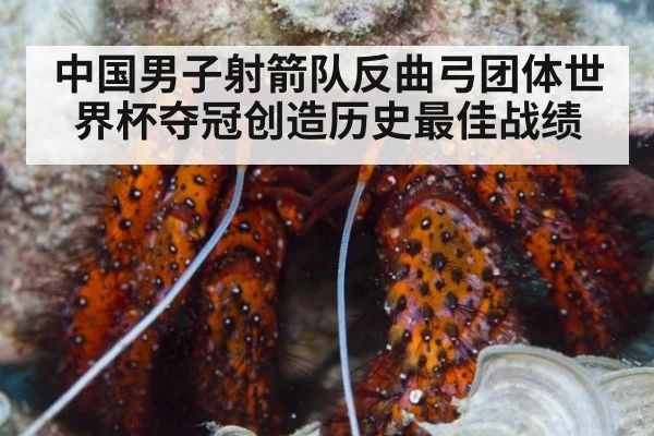 中国男子射箭队反曲弓团体世界杯夺冠创造历史最佳战绩