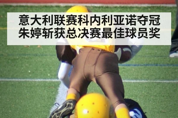 意大利联赛科内利亚诺夺冠朱婷斩获总决赛最佳球员奖